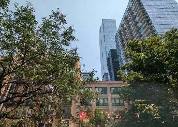 South Loop 2 Bedroom Appartement