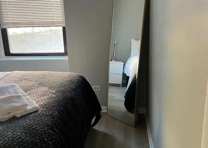 South Loop 2 Bedroom